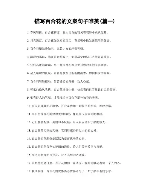描写百合花的文案句子唯美(精选两篇)