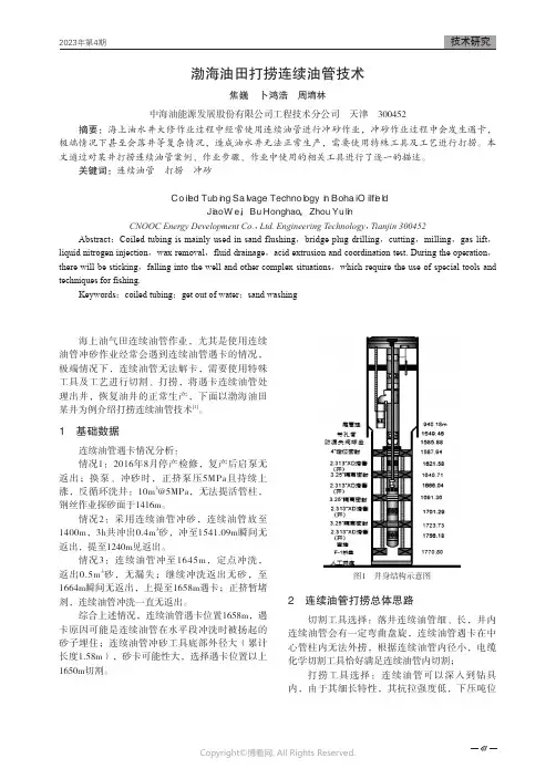 211219778_渤海油田打捞连续油管技术