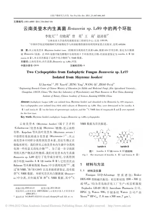 云南美登木内生真菌Beauveriasp_Lr89中的两个环肽
