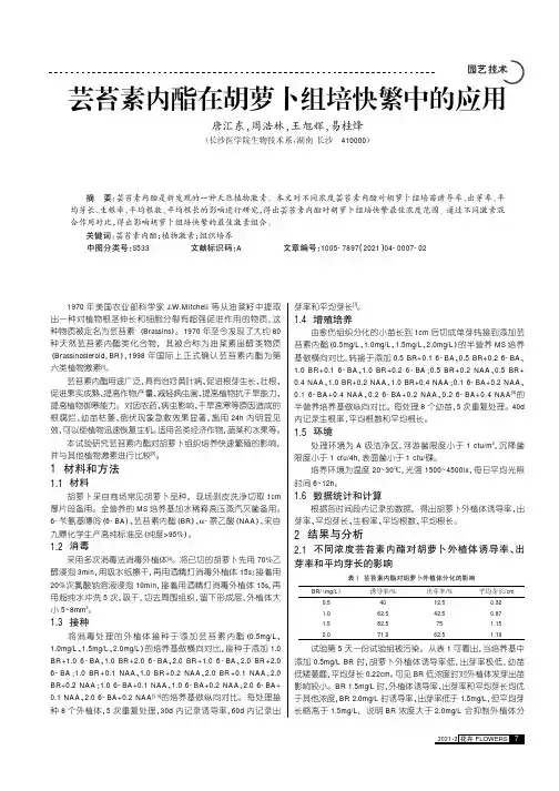 芸苔素内酯在胡萝卜组培快繁中的应用