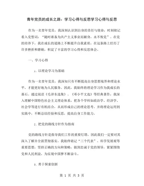 青年党员的成长之路：学习心得与反思