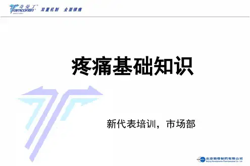 疼痛基础知识