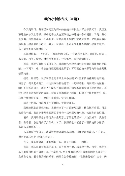 我的小制作作文(8篇)