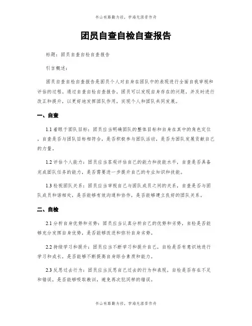 团员自查自检自查报告