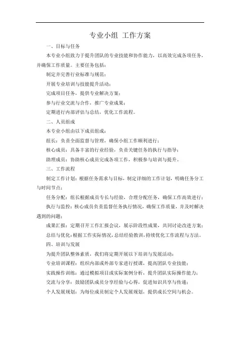 专业小组 工作方案