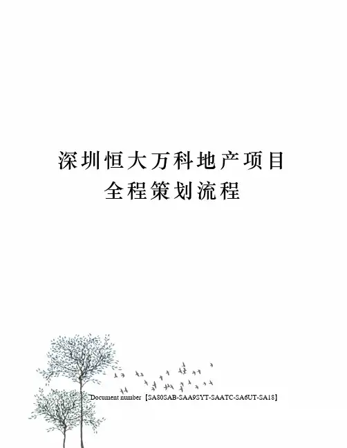 深圳恒大万科地产项目全程策划流程修订稿