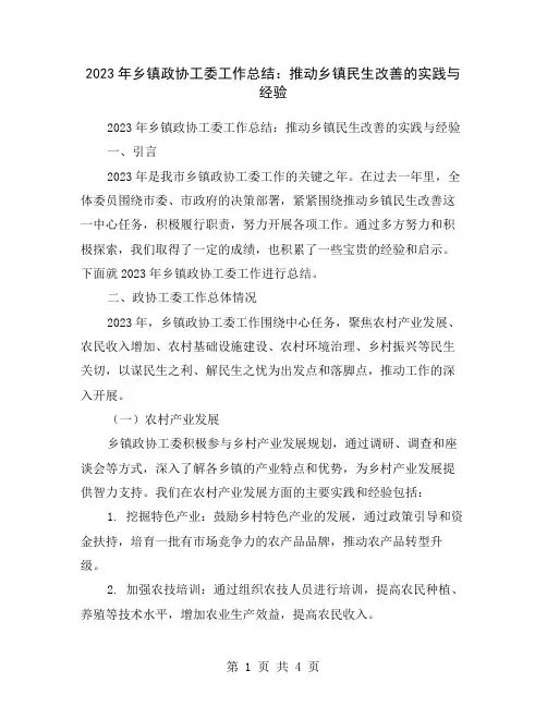 2023年乡镇政协工委工作总结：推动乡镇民生改善的实践与经验