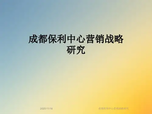 成都保利中心营销战略研究