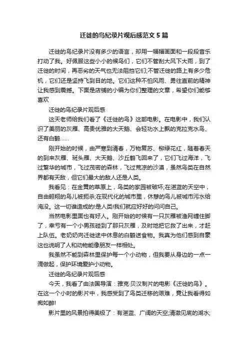 迁徙的鸟纪录片观后感范文5篇