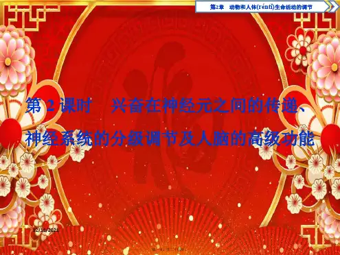 高中生物第2章第1节第2课时兴奋在神经元之间的传递、神经系统的分级调节及人脑的高级功能生物