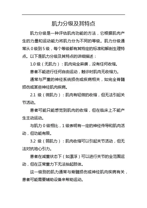 肌力分级及其特点
