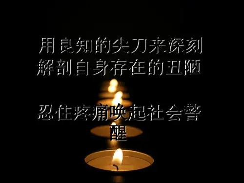 小悦悦事件ppt课件