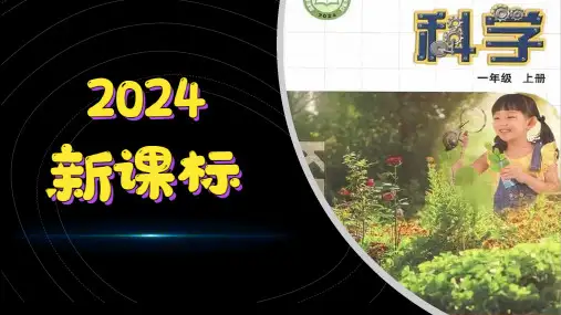 (2024)新苏教版科学一年级上册(3-9)探究秋叶的秘密-PPT课件