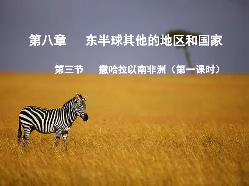 人教版地理七年级下册第八章 第三节 撒哈拉以南非洲 (共35张PPT)