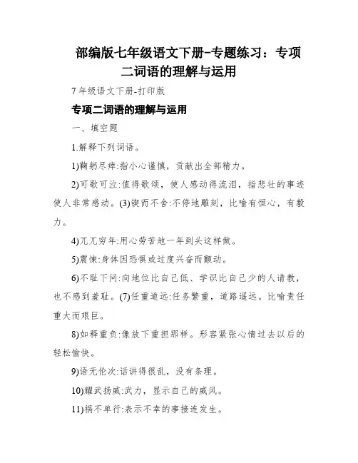 部编版七年级语文下册-专题练习：专项二词语的理解与运用