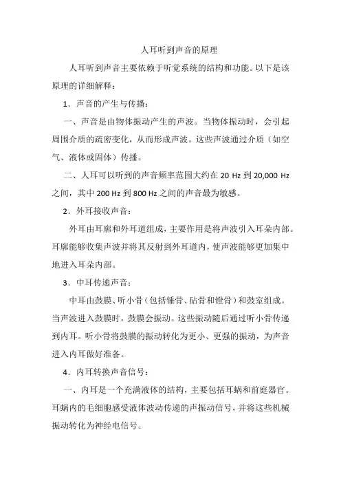 人耳听到声音的原理