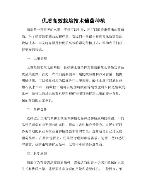 优质高效栽培技术葡萄种植