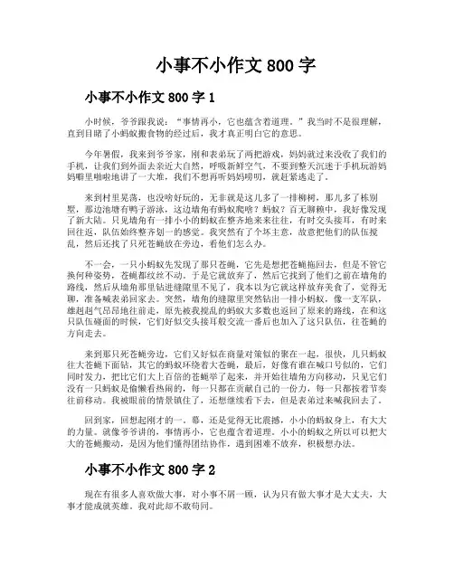 小事不小作文800字