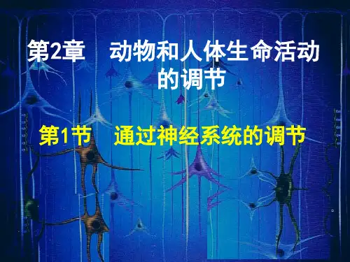 高中生物必修三课件-神经调节 1
