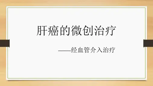 肝动脉化疗栓塞术(TACE)