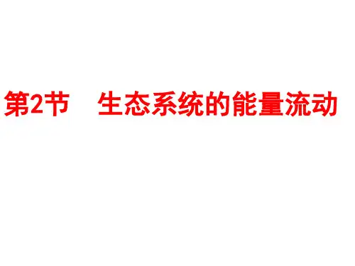 生态系统的能量流动  课件