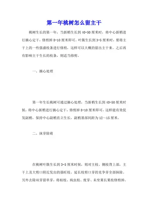 第一年桃树怎么留主干