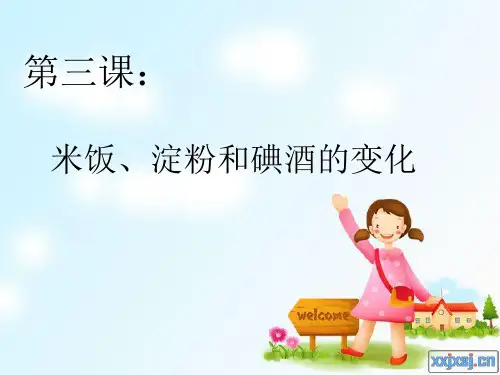 (教科版六年级科学下册)米饭淀粉和碘酒的变化