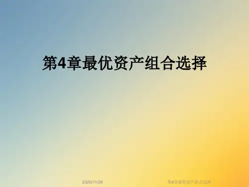 第4章最优资产组合选择