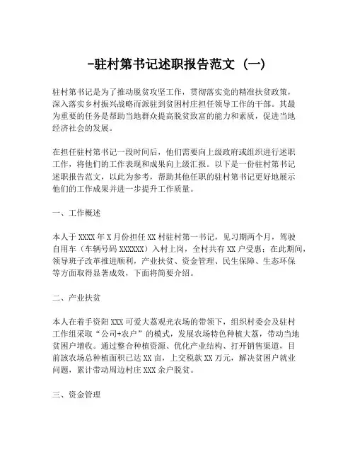 -驻村第书记述职报告范文 (一)