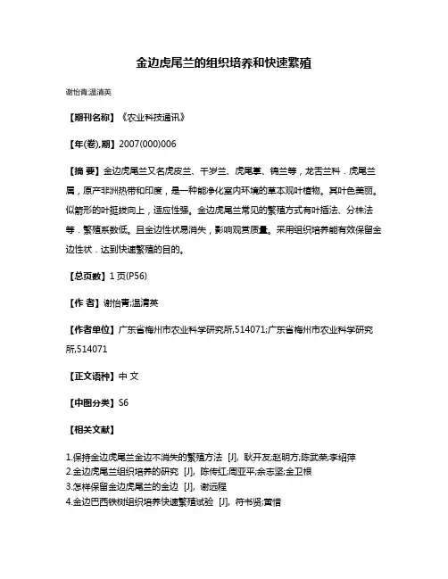 金边虎尾兰的组织培养和快速繁殖