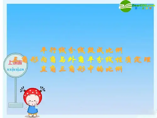 高一-三角形内角和外角平分线定理