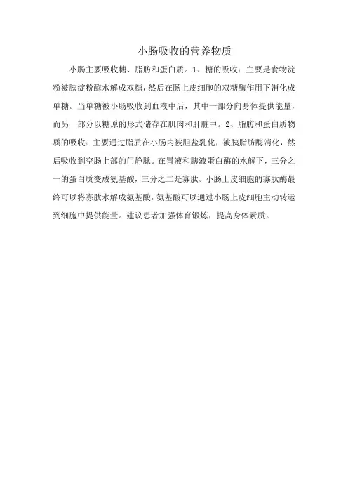 小肠吸收的营养物质