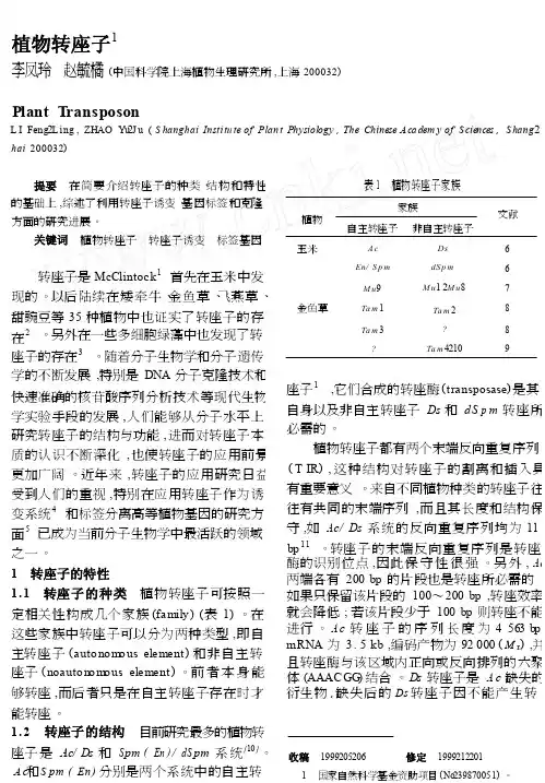 植物转座子——精选推荐