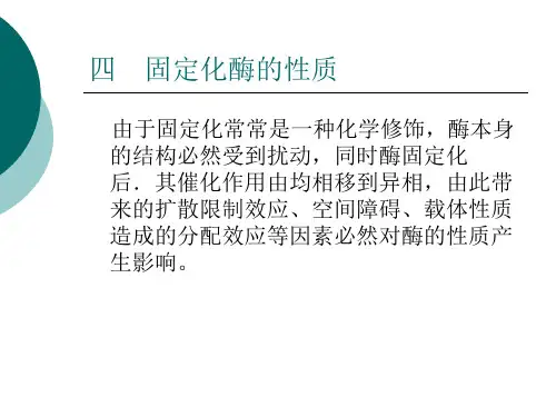 四 固定化酶的性质