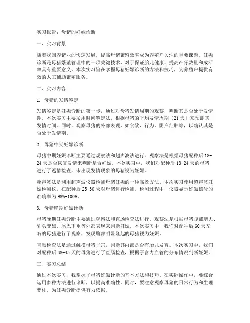 母猪的妊娠诊断实习报告