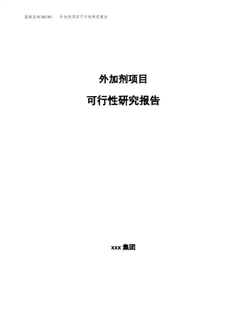 外加剂项目可行性研究报告(参考模板范文)