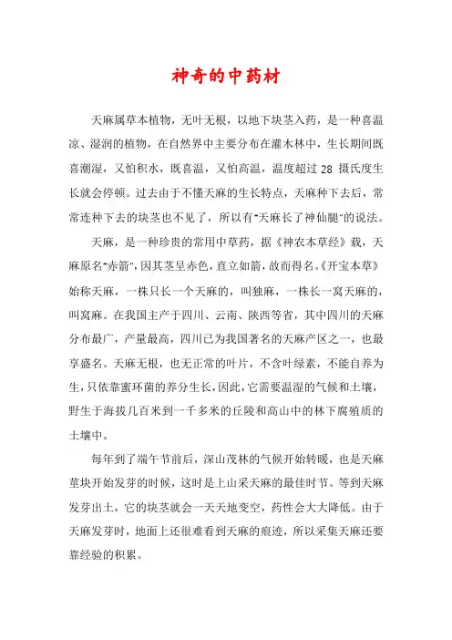 神奇的中药材