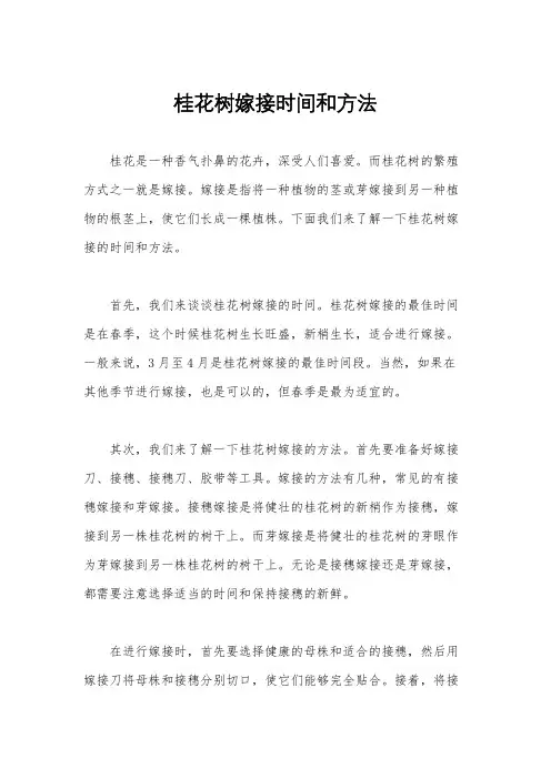 桂花树嫁接时间和方法