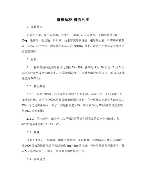 番茄品种 佛吉利亚