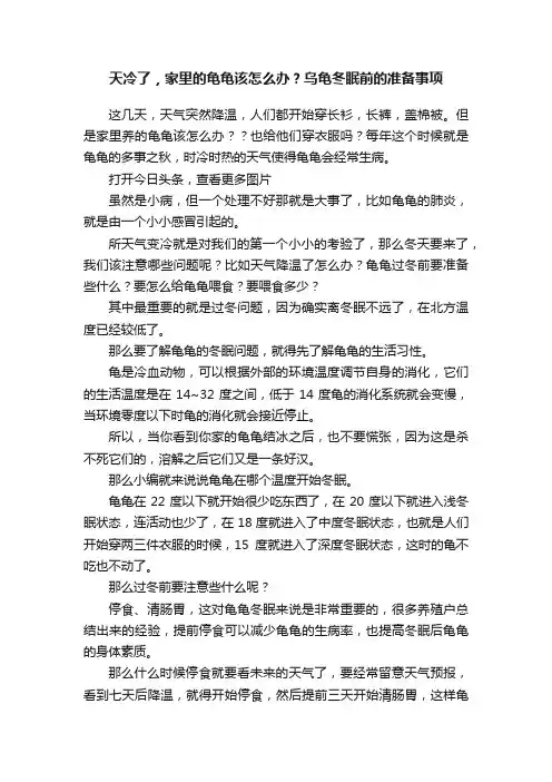 天冷了，家里的龟龟该怎么办？乌龟冬眠前的准备事项