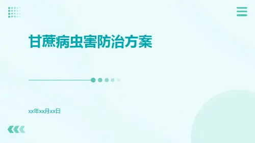 甘蔗病虫害防治方案