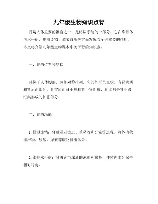 九年级生物知识点肾