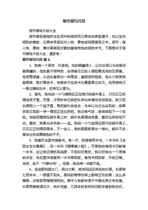 细节描写片段大全