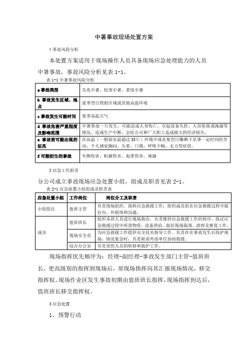 中暑现场处置方案