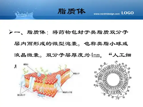 脂质体