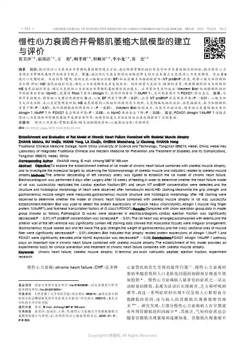 慢性心力衰竭合并骨骼肌萎缩大鼠模型的建立与评价