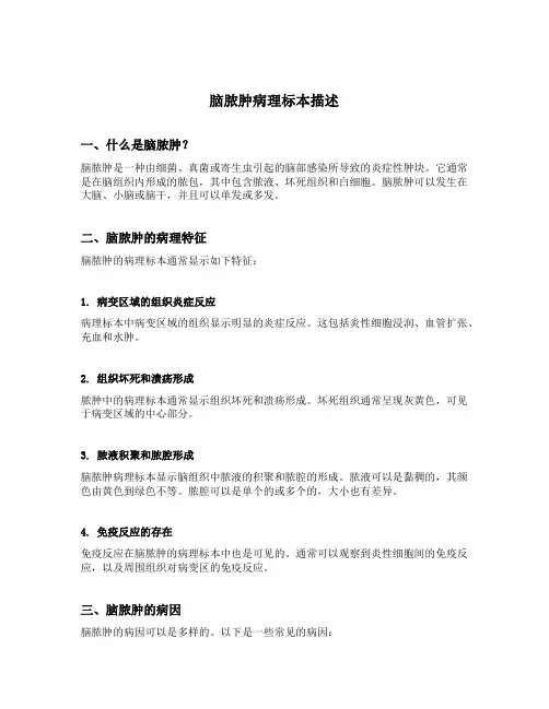 脑脓肿病理标本描述