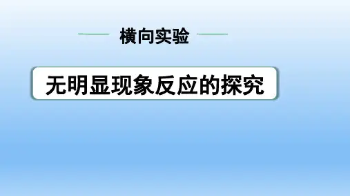中考化学  无明显现象反应的探究