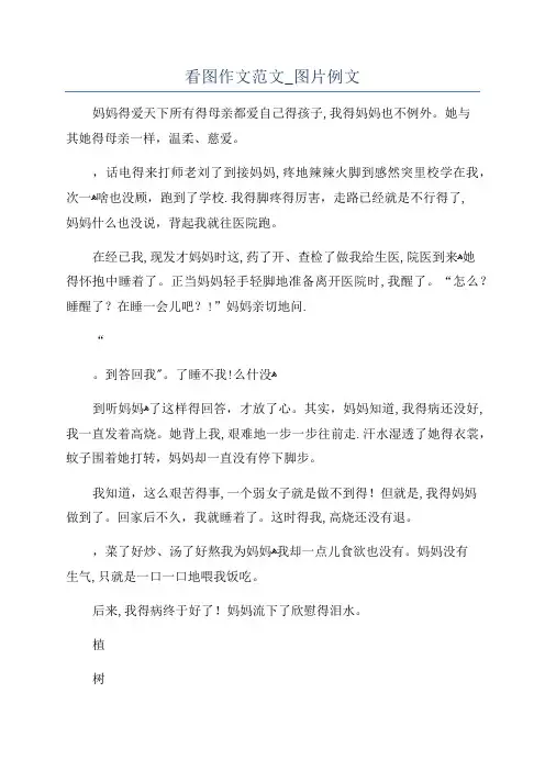 看图作文范文_图片例文