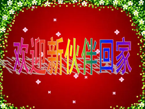 保险公司迎新会课件